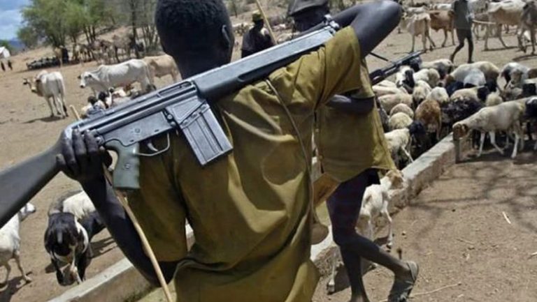 Fulani Dominance: Yoruba elders in diaspora take case to UN
