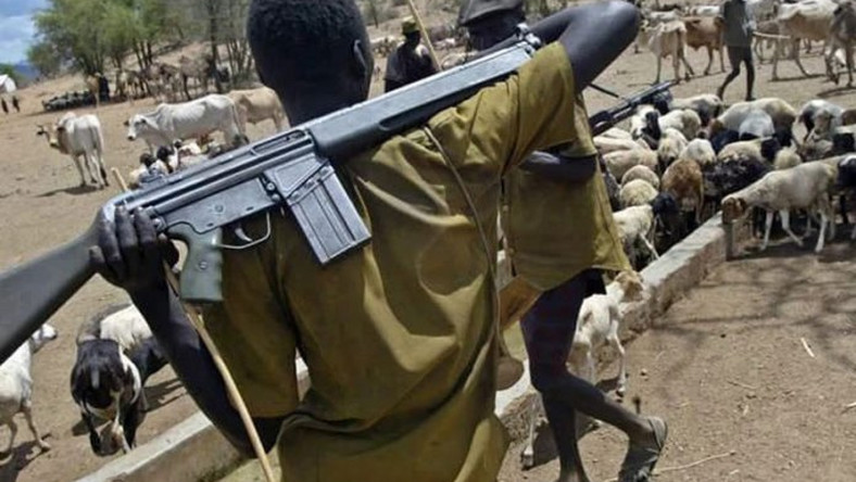 Fulani Dominance: Yoruba elders in diaspora take case to UN