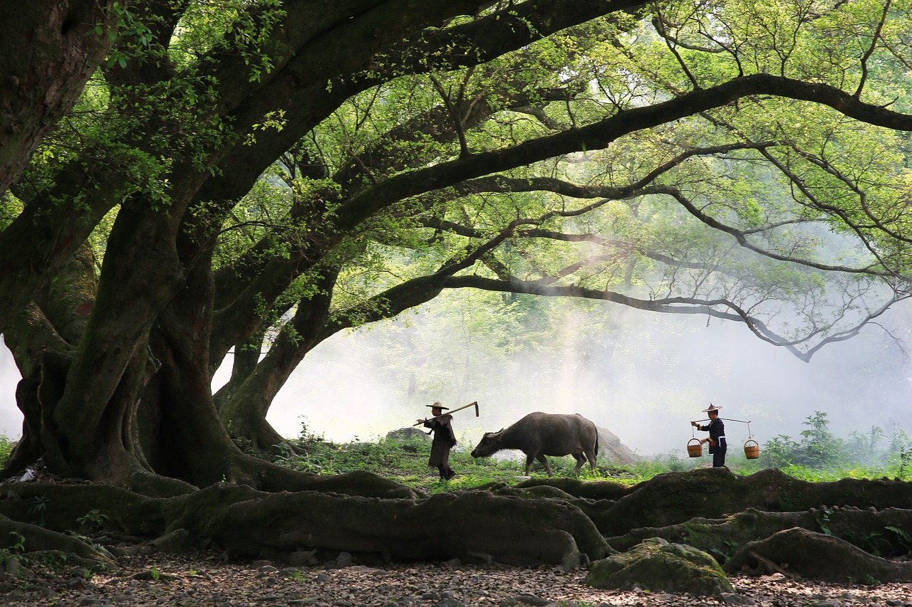 Nigerian government suspends RUGA