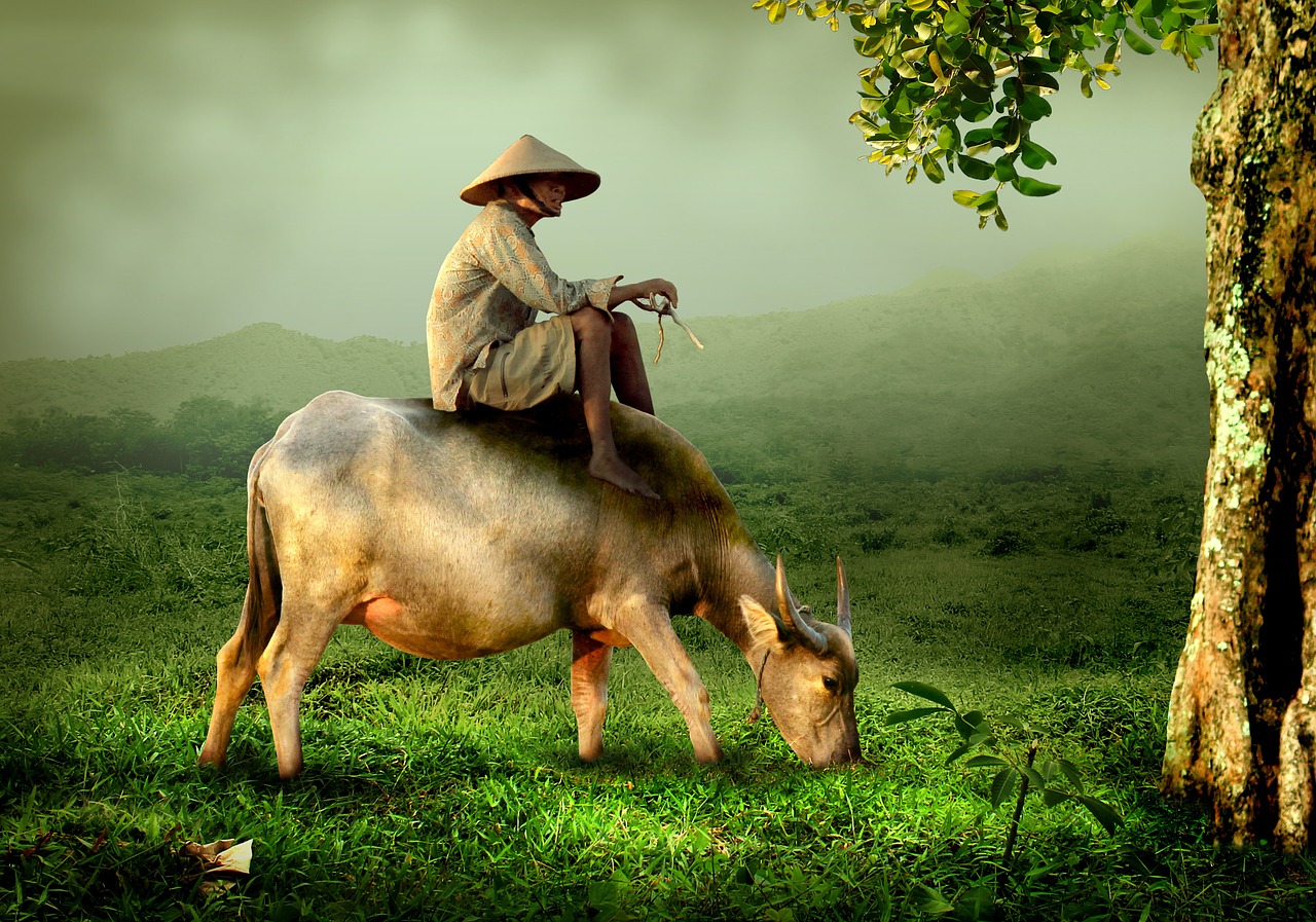 Provide land for RUGA, presidency urges states