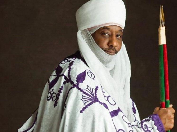 Social enterprise appoints Emir Sanusi to chair Board