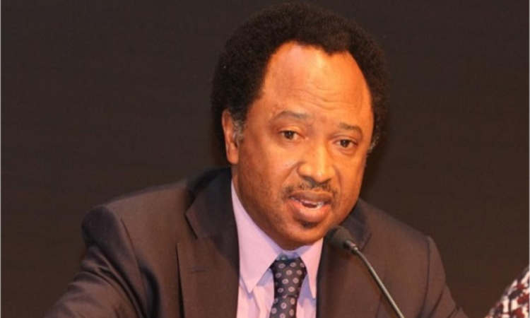 Shehu Sani denies coordinating Tinubu presidential campaign