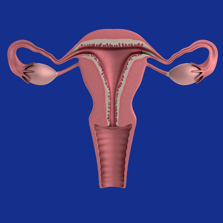 Youths advocate reproductive health in school curricula