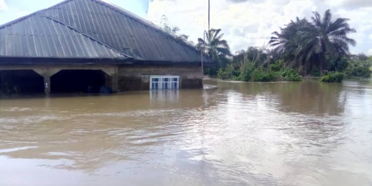 Delta Monarchs Abandon Palaces As Flood Sacks Communities