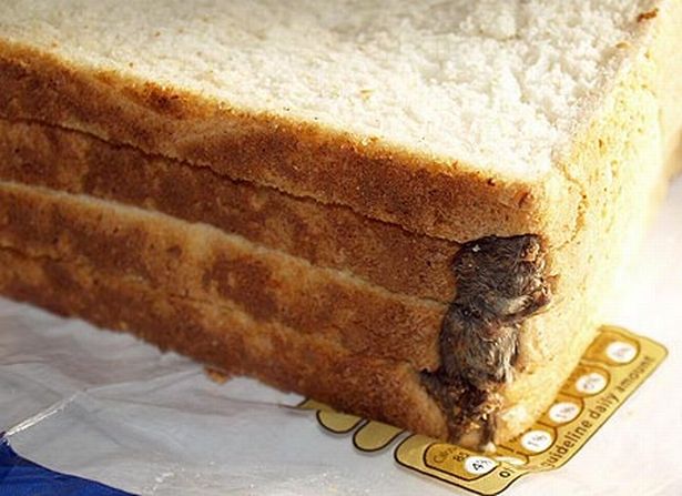 Dead Rats And Cockroaches Seen By NAFDAC In Abuja Bakery