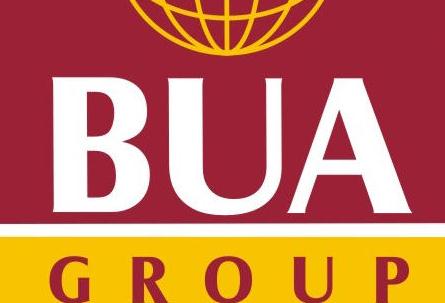 NPA Port Decommissioning Threatens BUA's $400m Project