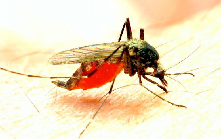 Nigeria Pledges $12M To Global Fund On Malaria, TB, Others