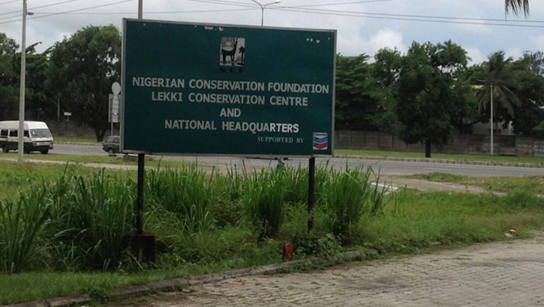 Group Canvasses Environmental Education In Lagos Schools