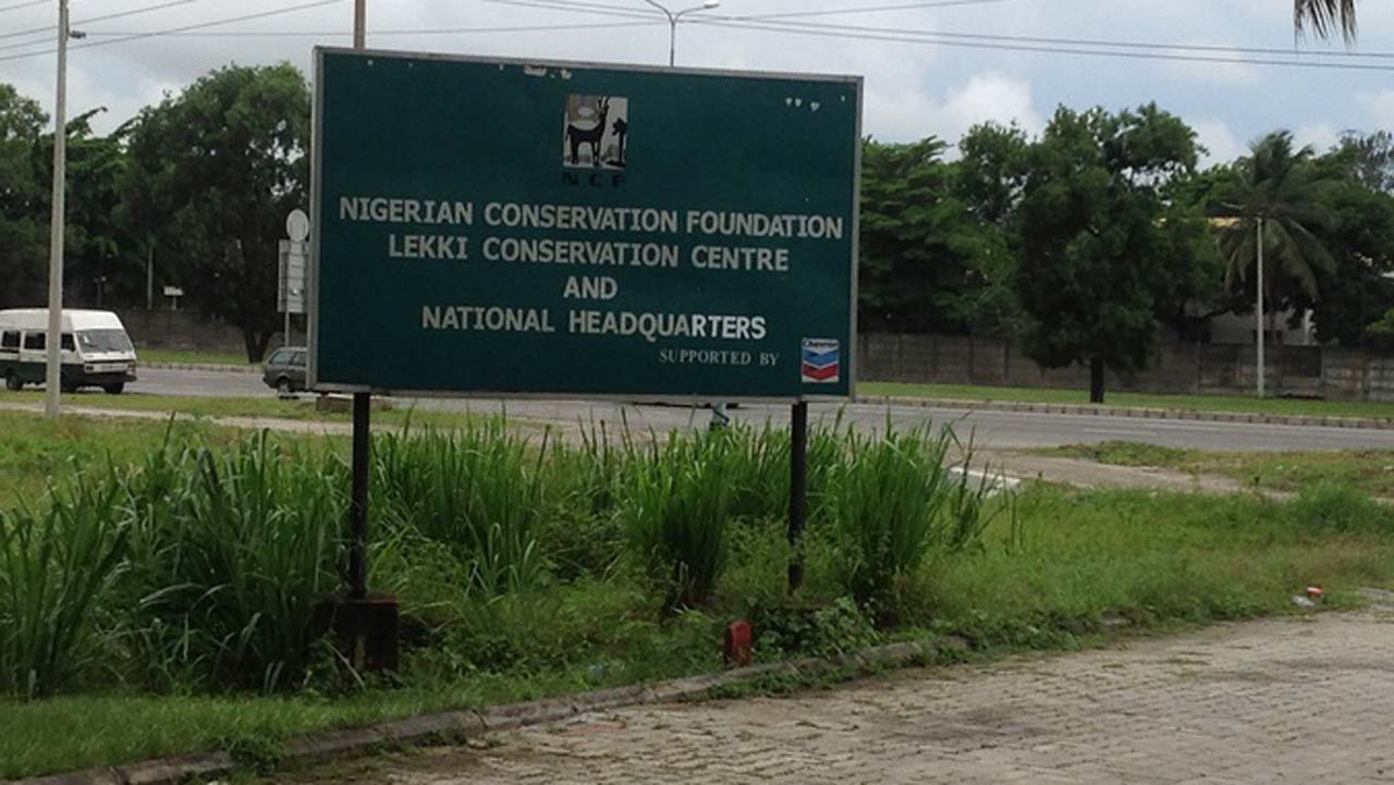 Group Canvasses Environmental Education In Lagos Schools