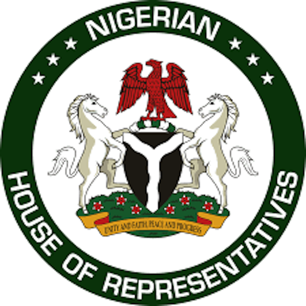 Establish Quick Response Wing In Kebbi, House Urges NAF