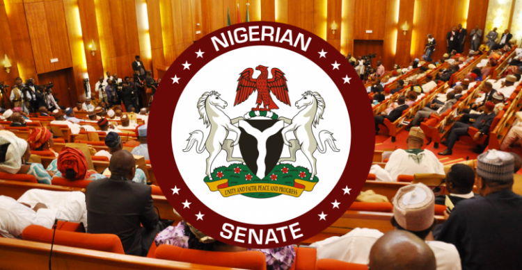 Senate Rejects Budget Presented By Niger Delta Ministry