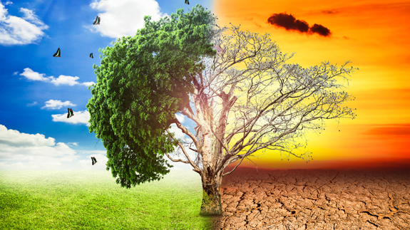 Climate Change: Spain Offers To Host COP25 In Madrid