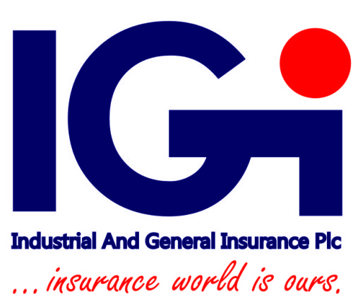 IGI Reduces Staff Number To Meet Recapitalisation Exercise