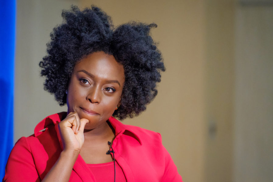 Chimamanda, Aliko, Make Top 5 In Most Influentian Africans