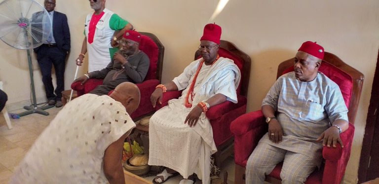 Onitsha Traditional Council Condemns Child Abduction