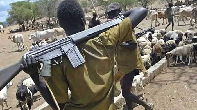 Herdsmen Attack Benue Community, Butcher Two
