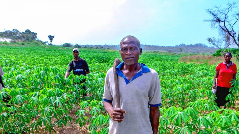 Farmers