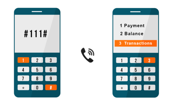 Nigerians Begin Payment Of ₦6.98 Per USSD Bank Transaction