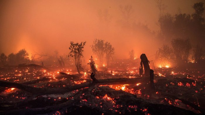 Forest Fire Kills 18 Firefighters In China
