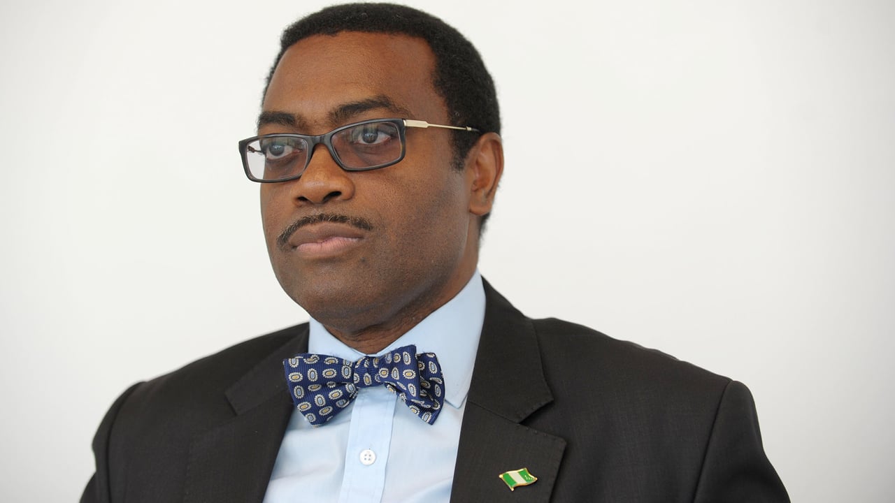 AfDB - Obasanjo, Jonathan, African Presidents Oppose US, Endorse Adesina