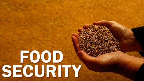 How COVID-19 Pandemic May Affect Food Harvest