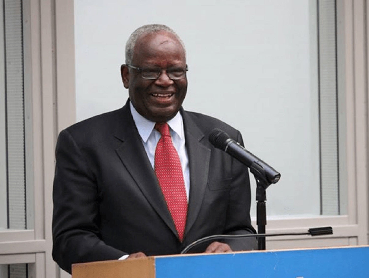 Ibrahim Gambari Breaks Silence After Appointment