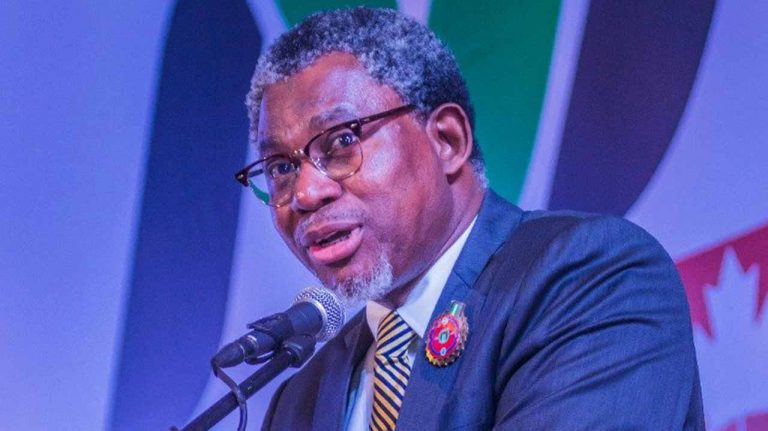 Top Nigerians Fighting For Release Of Illegal Chinese