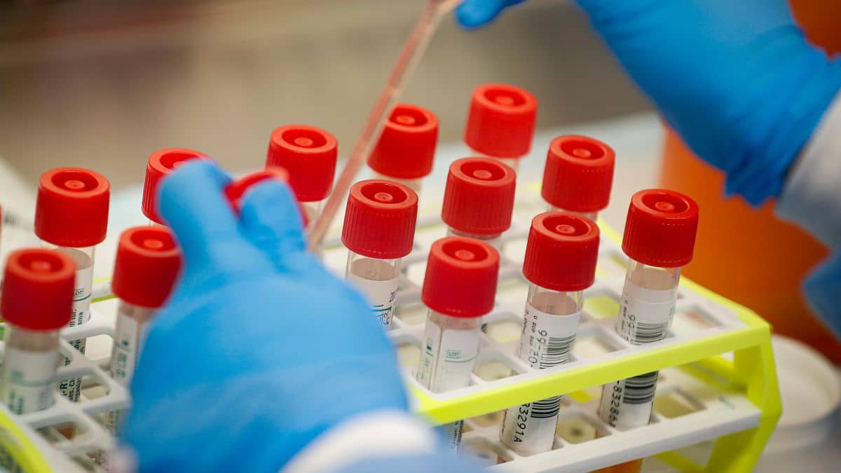 Vaccine - WHO, FG Told Not To Bring Trial Drugs Into Kano
