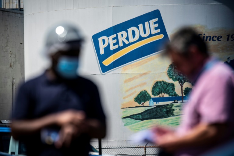 Working In Fear, Immigrants Keep US Poultry Running