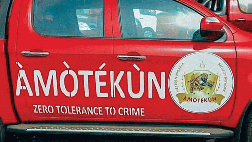 Nigerian Soldiers And Amotekun Fought Over Seized Cows