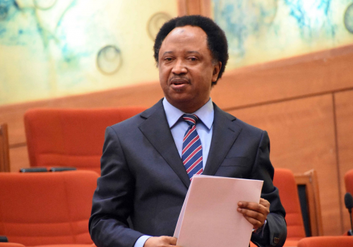 Replacing Striking Doctors With Corps Members Absurd – Sani