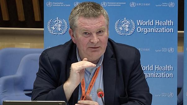 Recently Publicized Swine Flu Not New, Says WHO