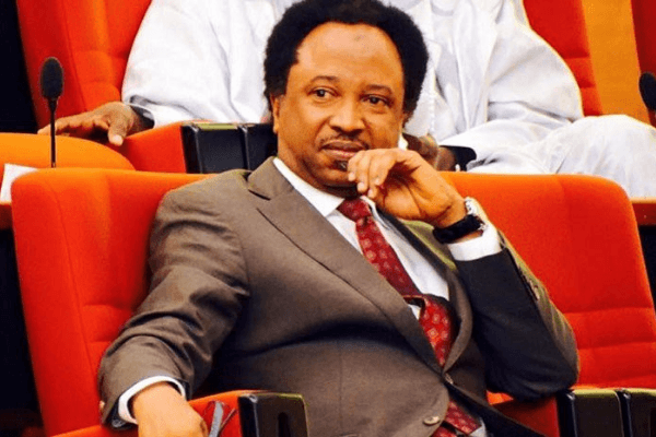 Insecurity: Nigerian Leaders Out Of Ideas – Shehu Sani