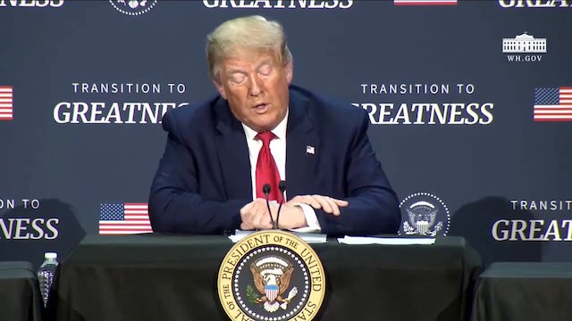 Trump Backs Oracle In Reported TikTok Bid