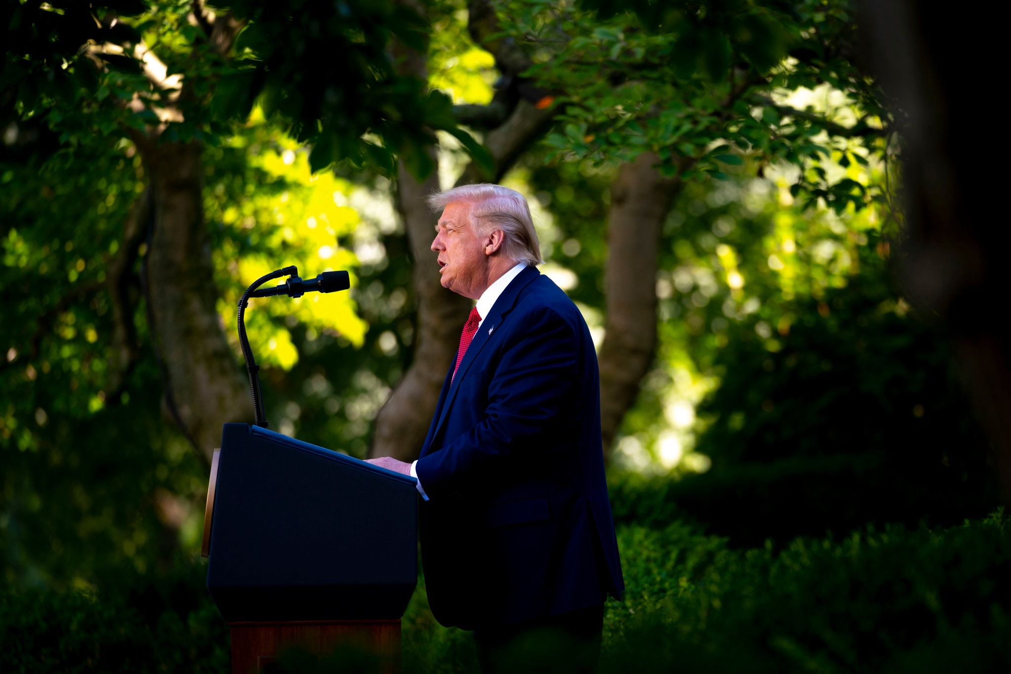 Trump Blasted Over 'Delirious Monologue' At News Conference