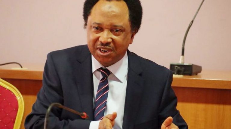 ‘Magu’s Cult Boys’ Run EFCC – Shehu Sani