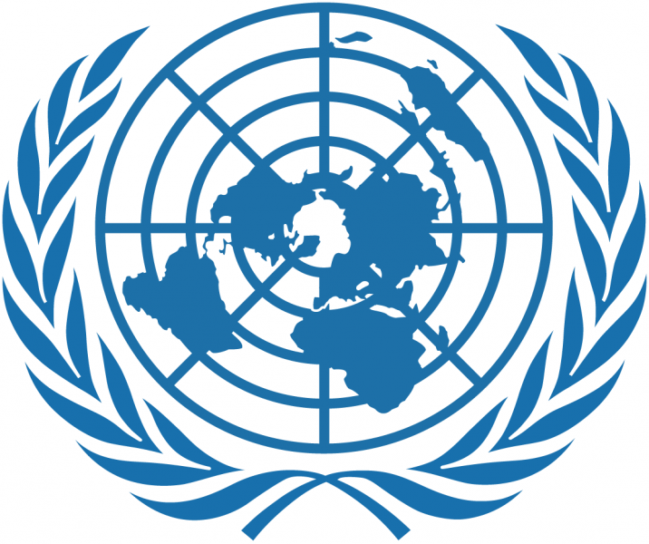 Boko Haram: 4.3m People Face Hunger in North-east, Says UN