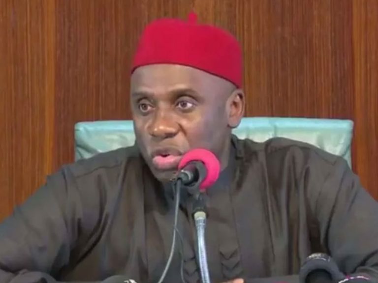 2023: I’m Not A Politician, Stop Distracting Me – Amaechi