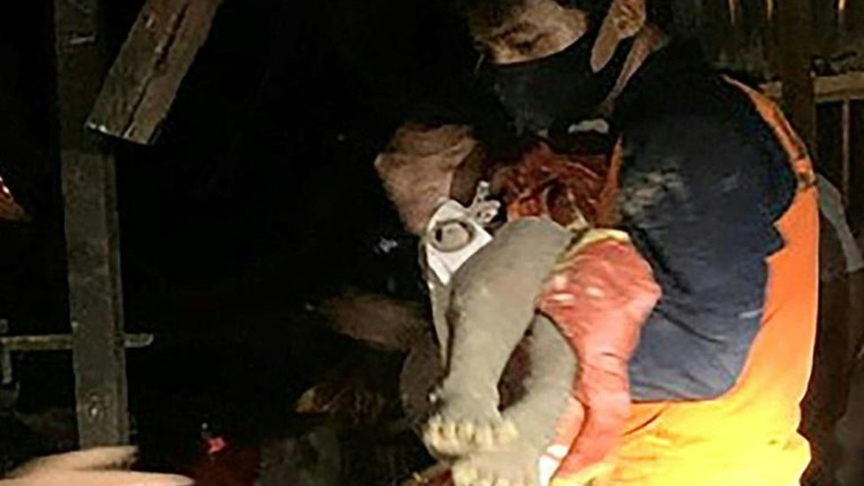 Indonesia landslides kill 11 including infant twins