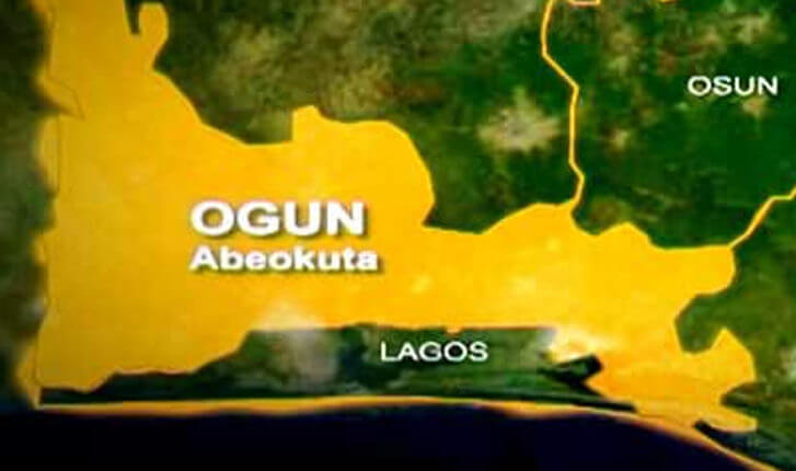 Ogun announces postponement of local govt elections to 2021 (1)