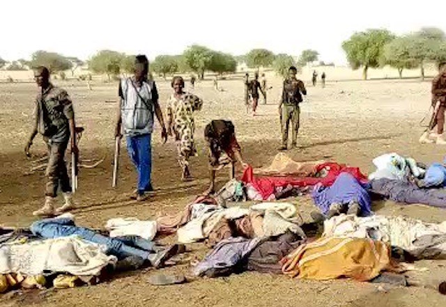 Boko Haram slaughters 14 farmers near Maiduguri