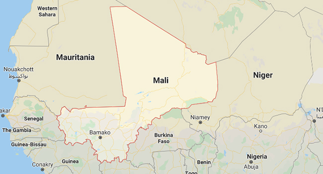 Gunmen Kidnap 20 In Central Mali Village