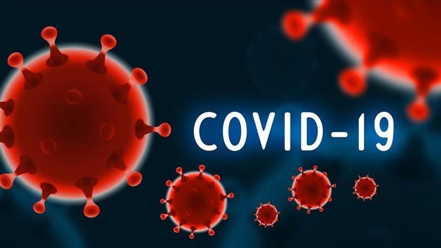 600 Test Negative After Contact With Hungarian FM For Covid-19