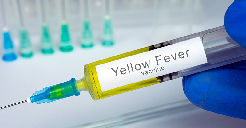 Delta Trails Cause Of Mystery Demises To Yellow Fever