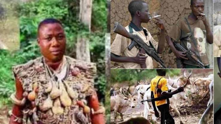 Fulani Herdsmen Must Leave Ibarapa Now - Sunday Igboho