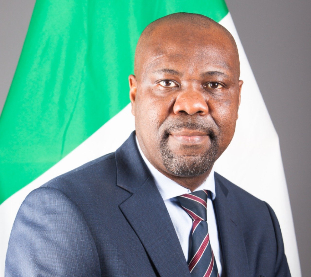 Diaspora Nigerians Teaming Up Ahead Of 2023 General Election