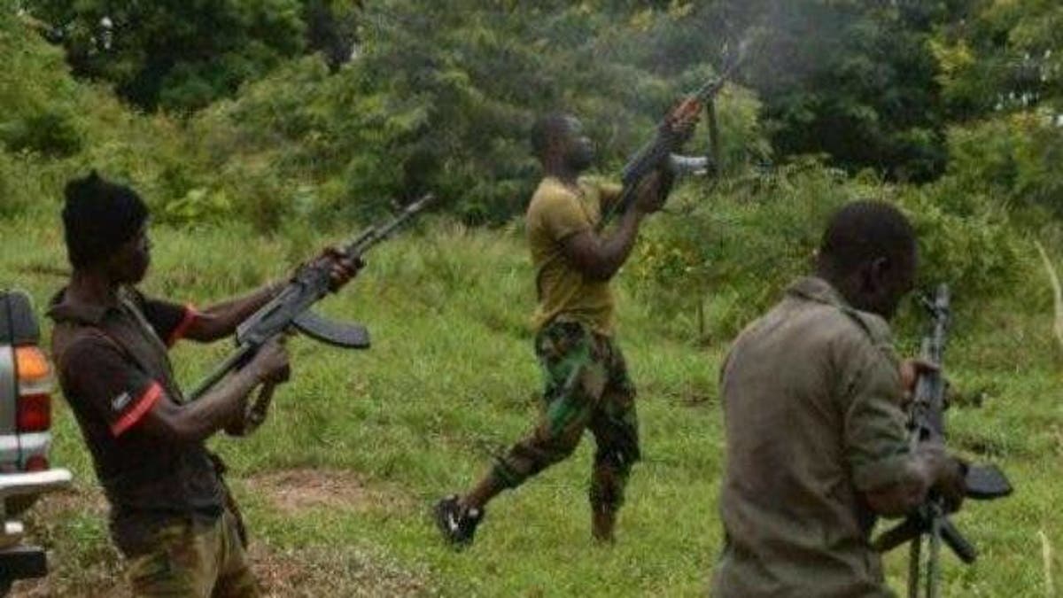 Bandits Kill Traditional Ruler, Ten Others, Kidnap 24 In Niger