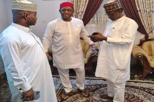 Why I Met With Top APC Leaders - Fani-Kayode