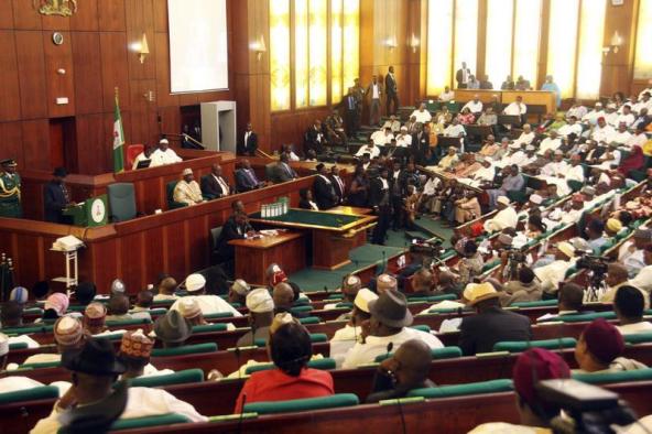 Ebola Virus Resurgence Nigerian Reps Expresses Concern
