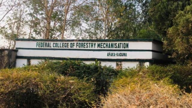 29 Abducted Afaka Students Released After 55 Days